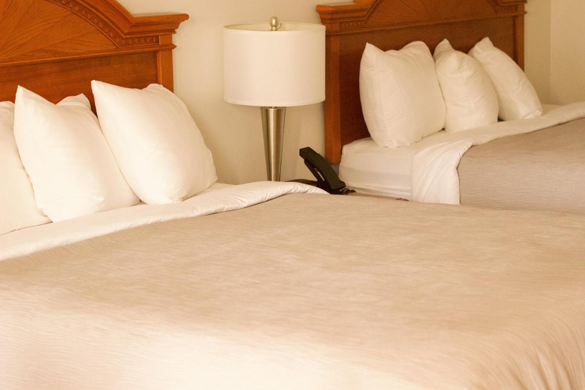 Quality Inn Near Chattanooga South Ringgold Eksteriør bilde